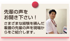 先輩の声をお聞き下さい！